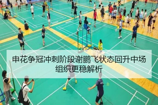 申花争冠冲刺阶段谢鹏飞状态回升中场组织更稳解析